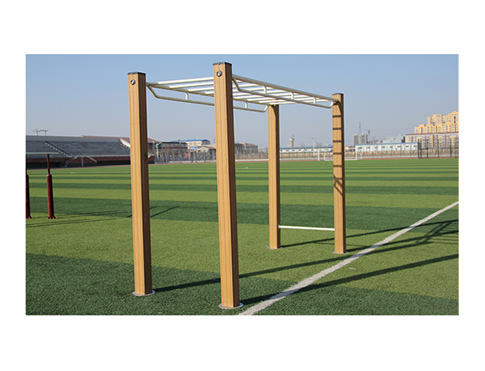 Horizontal Ladder Outdoor Fitness Equipment