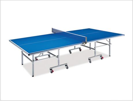 Movable Pingpang Table